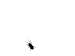 images/avatars/avatar-275.gif